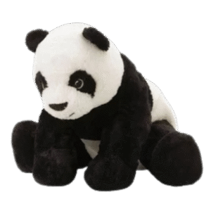 Untitled design (10)